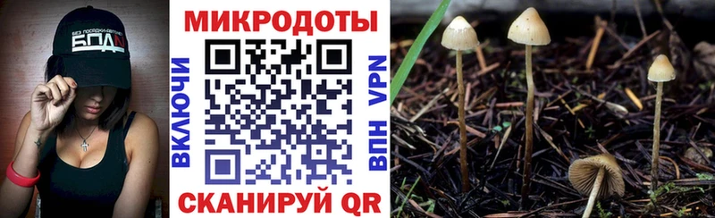 ОМГ ОМГ сайт  наркота  Якутск  Псилоцибиновые грибы Psilocybe 